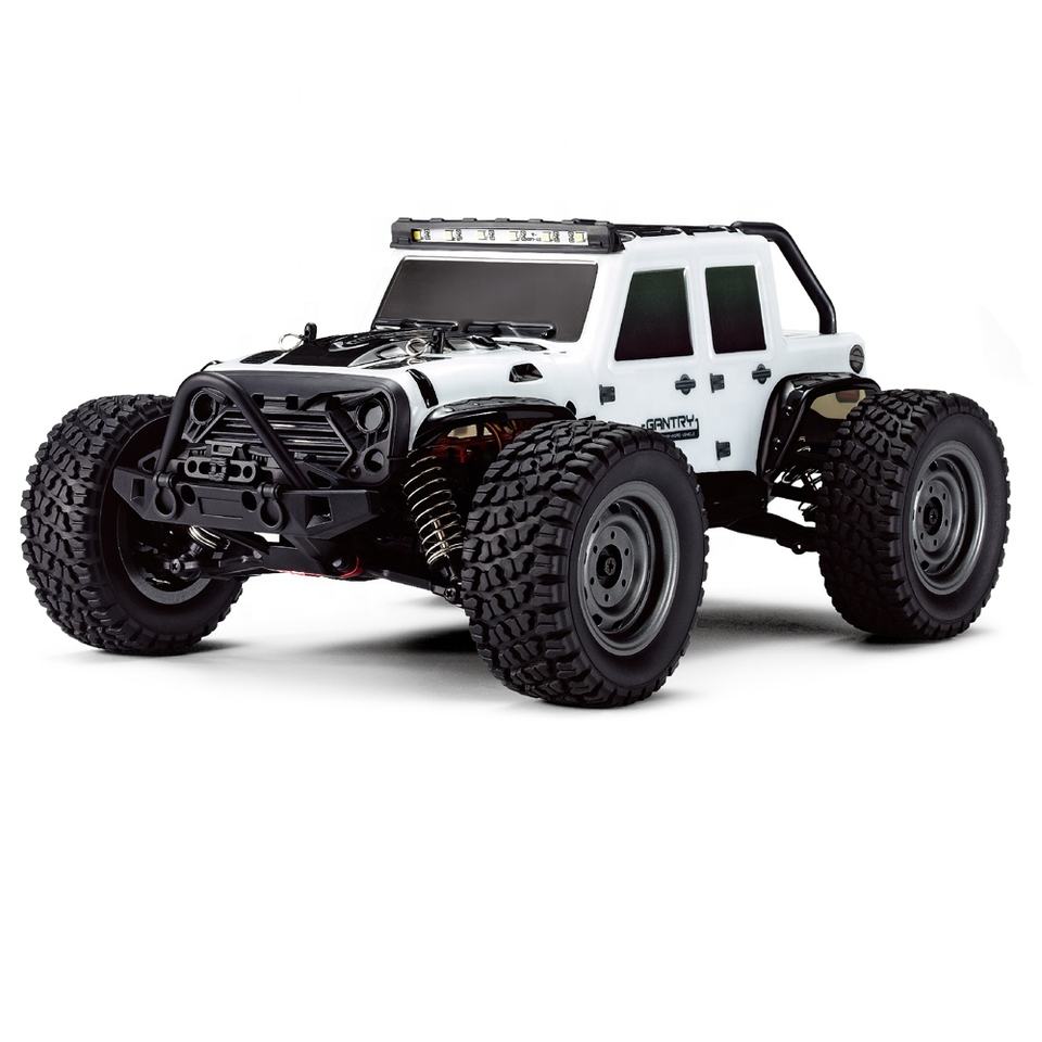 SCY 16103 45KMPH+ Hobby Grade RC Car